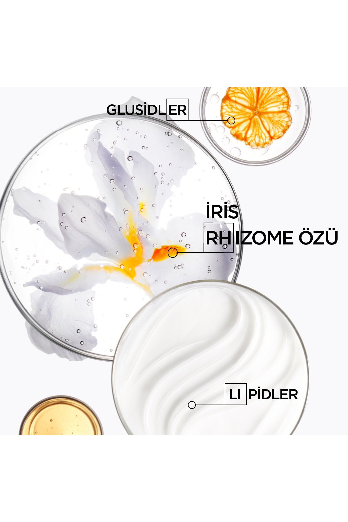 Kerastase Nutritive Lait Vital Kuru Saçlar Için Besleyici Bakım Sütü - Lait Vital 200 Ml