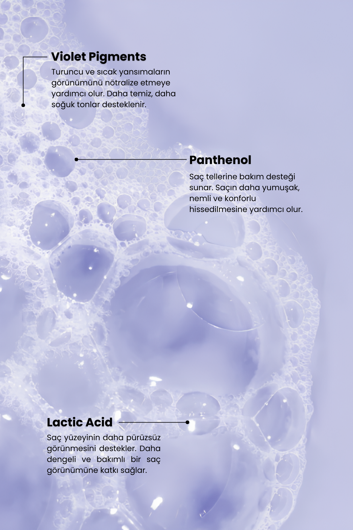Purple Shampoo | Anti-Yellowing Silver Shampoo 350 ml