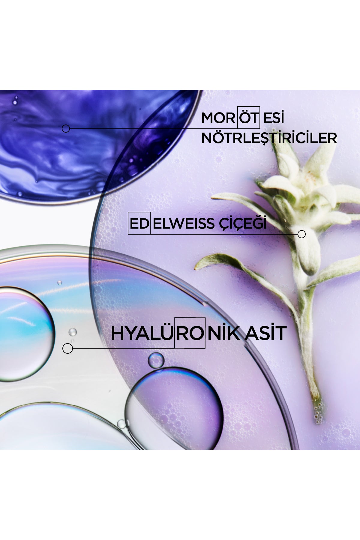Bain Ultra-Violet İstenmeyen Turuncu Yansımaları Nötralize Eden Şampuan